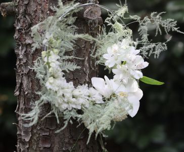 Modern karika csokor delphiniummal, orchideával (fehér)