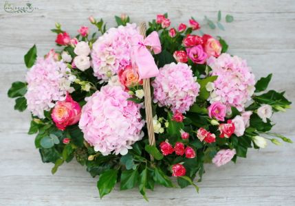 Big hydrangea basket