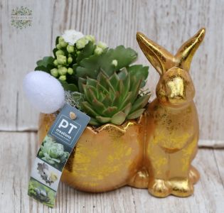 Plant decoration ith bunny