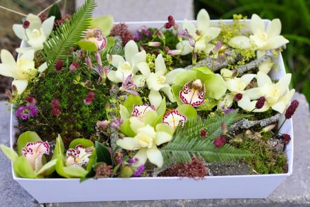 Virágbox, mohás erdei táj orchideákkal, apró virágokkal