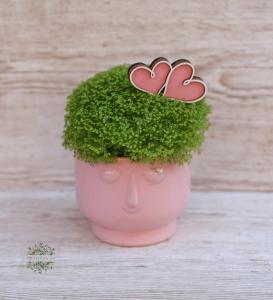 Soleirolia in einem Blumentopf mit einem rosafarbenen Gesicht