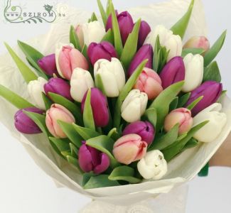 30 tulipán pasztell