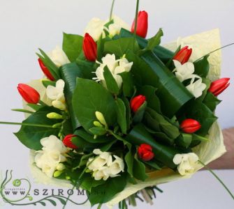 red tulips with white freesias (20 stems)