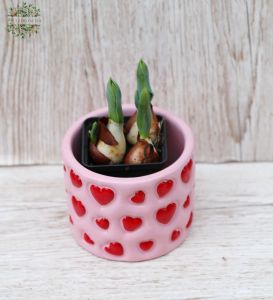 Rote Tulpen im Herz Topf