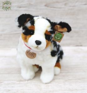 Plüsch Australischer Schäferhund (30cm)