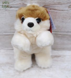 Plush Pomeranian (25cm)