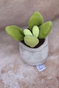 Plüsch Sukkulent Pflanze (13cm)