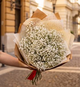 Gypsophila (babys breath ) bouquet (15 stems)