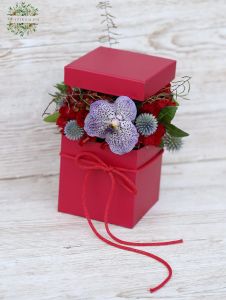 Small red flowerbox with red spray roses and 2 vanda orchids