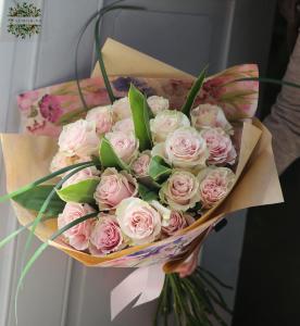 Pink roses (23 stems)