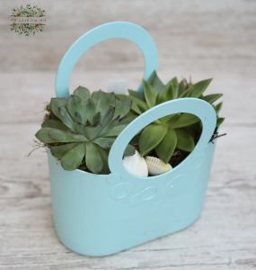 Sukkulent Tasche