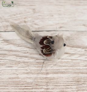 Grauer Vogel