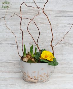 Spring plants with branches