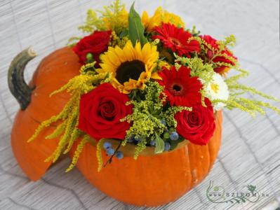 pumpkin bouquet (16 stems)