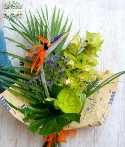 Tropical bouquet with cymbidium orchid, strelizia, anthurium