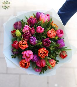 27 szál duplaszirmú tulipán csokorban