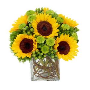 cube with 6 sunflowers and green buttons