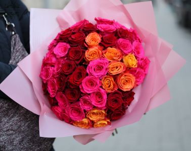 50 Rote Rosen im intensive Farben