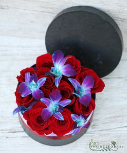 Rote Rosen und blaue Dendrobium Orchidee in Schachtel (11 Rosen Box)