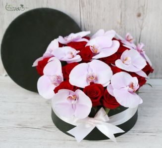 Red rose box with phalaenopsis orchids (29 stems)