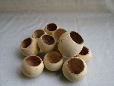 dried flowers (1 pack)