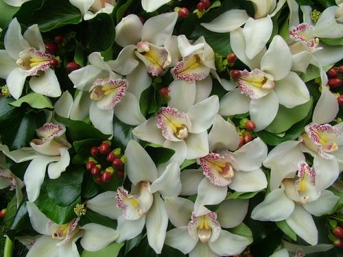 flower delivery Budapest - big standing wreath with callas, orchids and hypericums (1m)