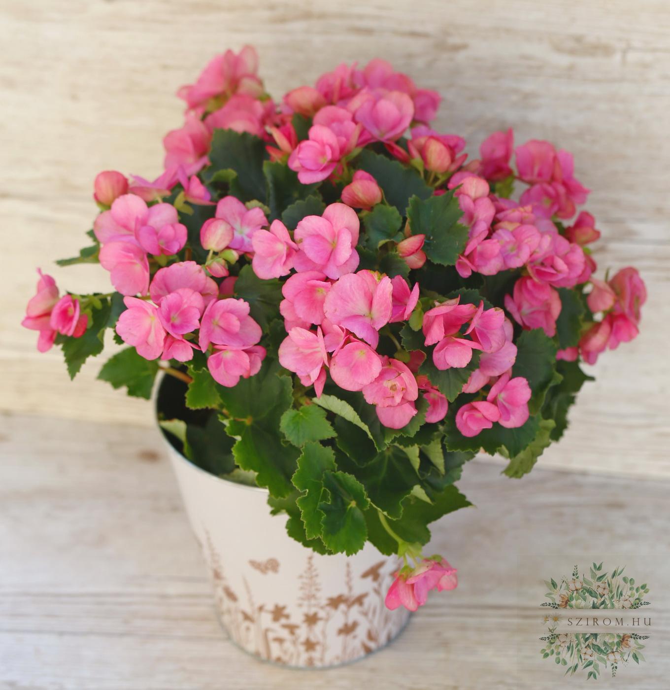Blumenlieferung nach Budapest - 