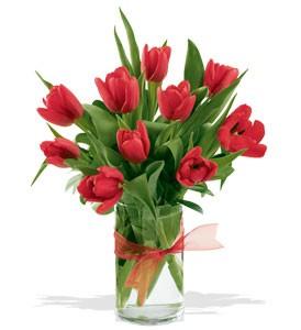 Virágküldés Budapest - 10 szál tulipán vázában<br><br>~30cm