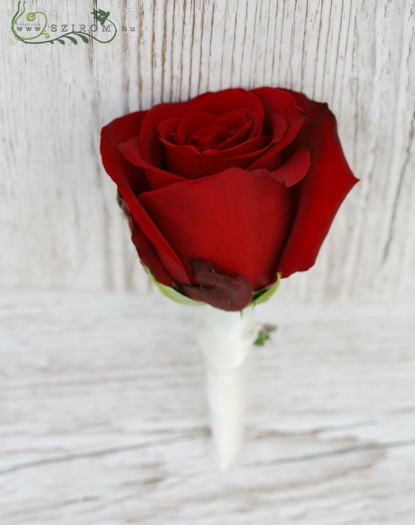 flower delivery Budapest - Boutonniere of rose (red)