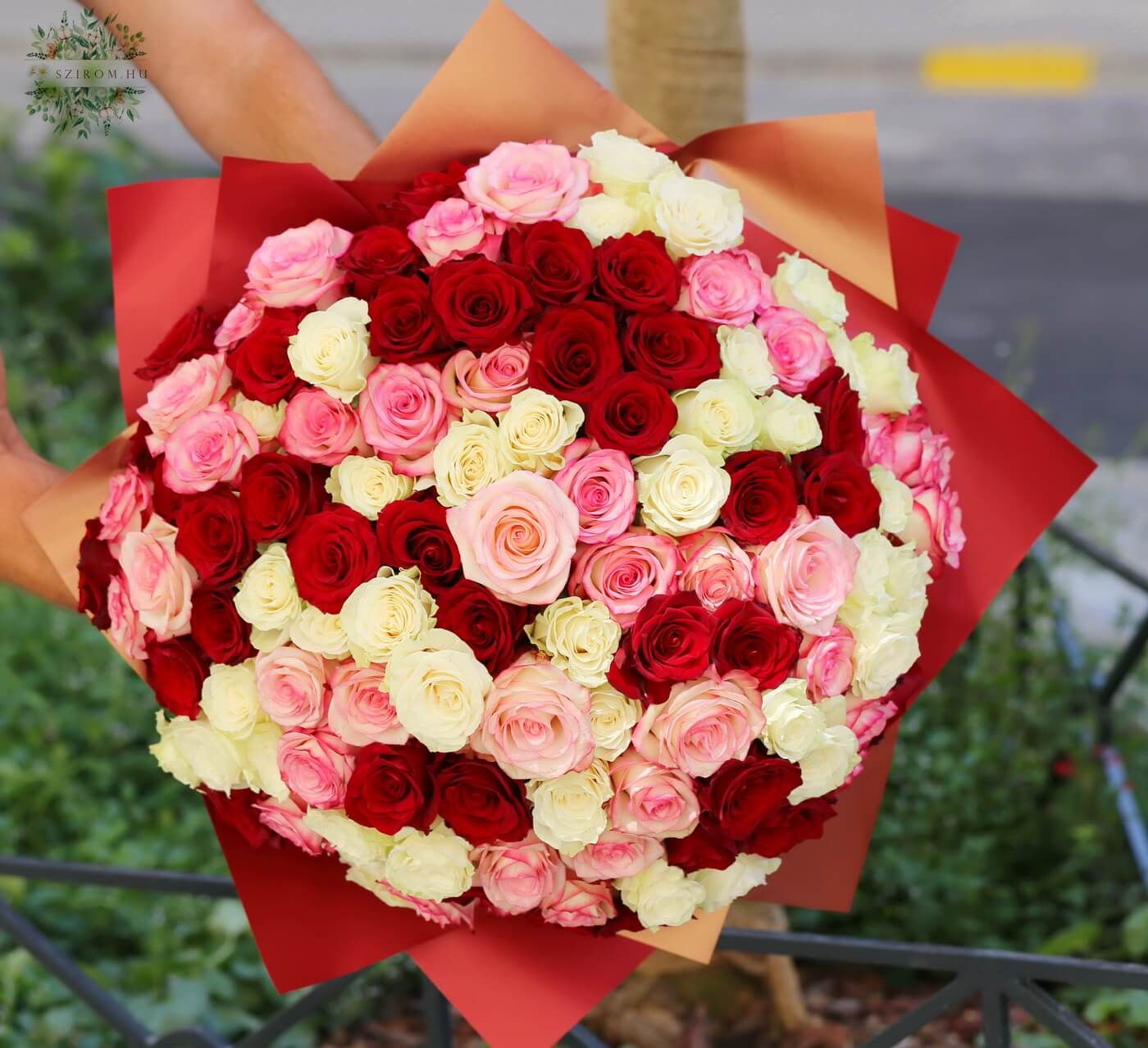 flower delivery Budapest - 120 roses in bouquet (red, white, bicolor)