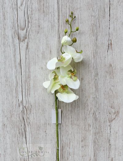 Blumenlieferung nach Budapest - Kunst Orchideenzweig (87cm)