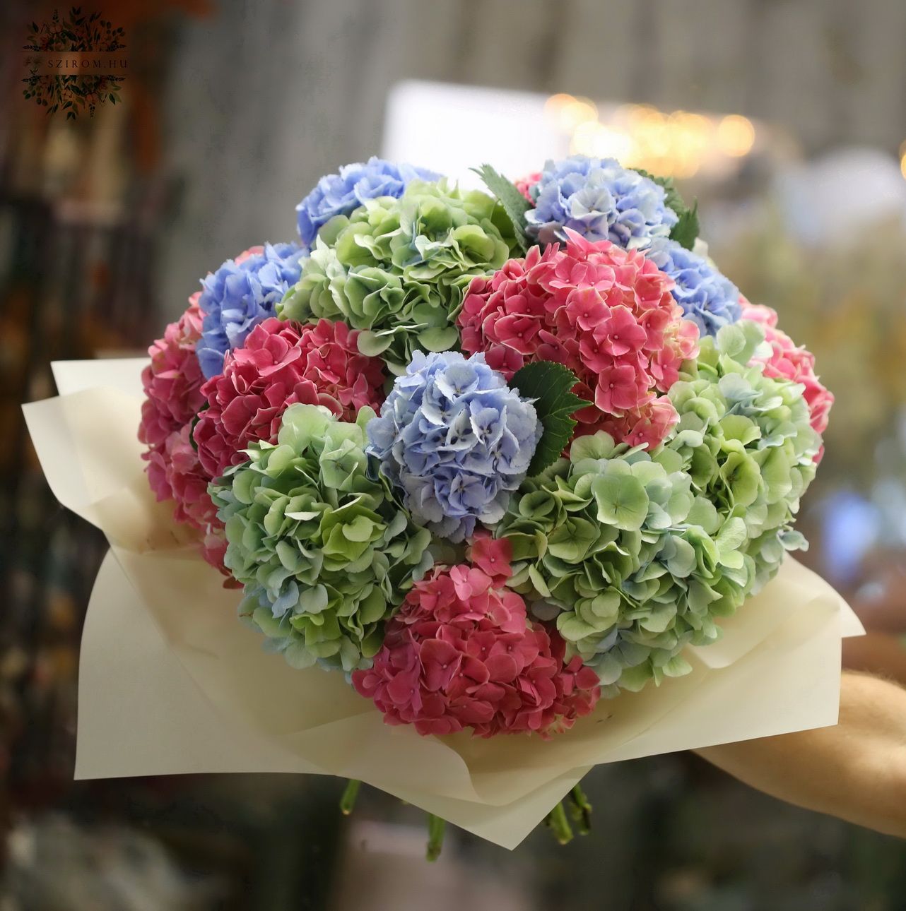 flower delivery Budapest - 17 mixed hydrangeas in a giant bouquet