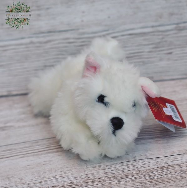 flower delivery Budapest - Plush dog Westie 25cm