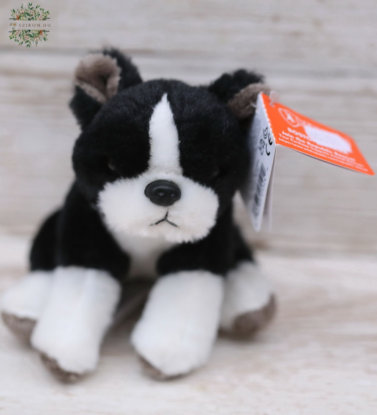 flower delivery Budapest - Plush Boston Terrier (13cm)