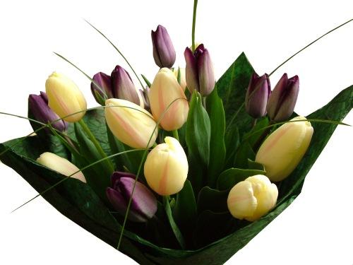 Blumenlieferung nach Budapest - 20 Tulpen in einem runden Bouquet