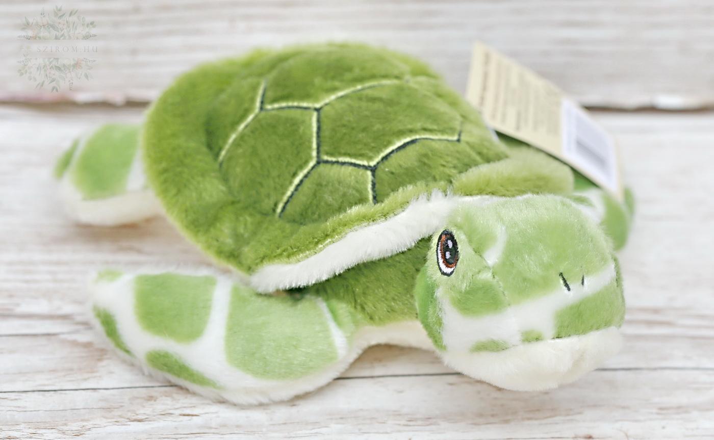 flower delivery Budapest - Turtle (17 cm)