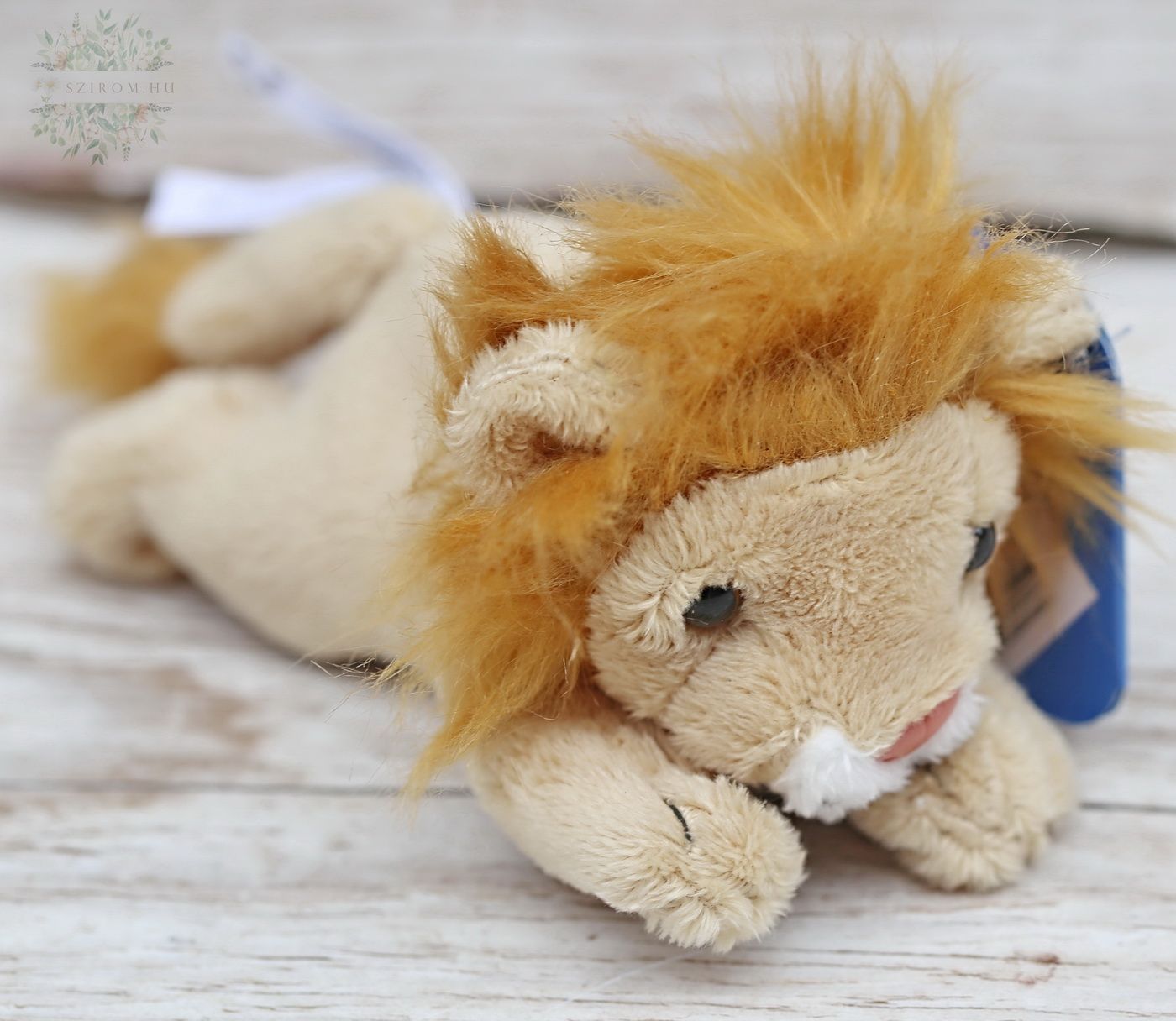 flower delivery Budapest - Lion (10 cm)
