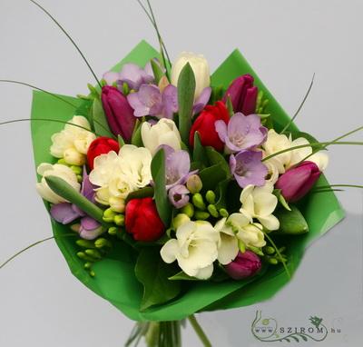 Blumenlieferung nach Budapest - Tulpen und Freesien (20 Stämme)