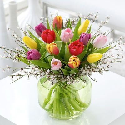 Blumenlieferung nach Budapest - 15 Tulpen mit kleinen Blüten, in Glaskugel