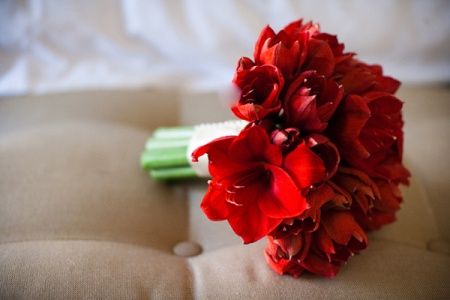 Blumenlieferung nach Budapest - Träumen rote Amaryllis (7 Stämme)