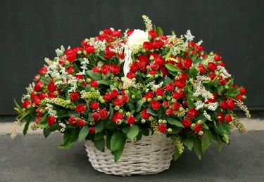 Blumenlieferung nach Budapest - 70 Mini-Rosen in einem Korb 1m