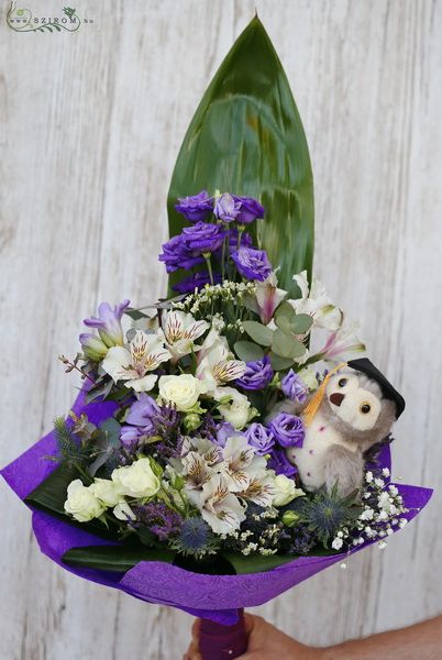 flower delivery Budapest - Graduation bouquet with purple flowers, and owl