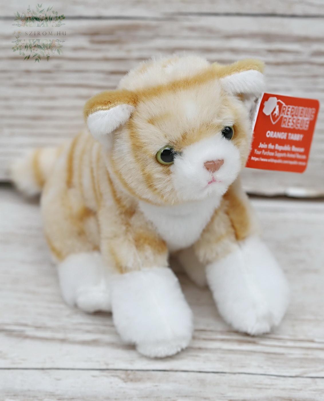 flower delivery Budapest - Striped kitten (10 cm)