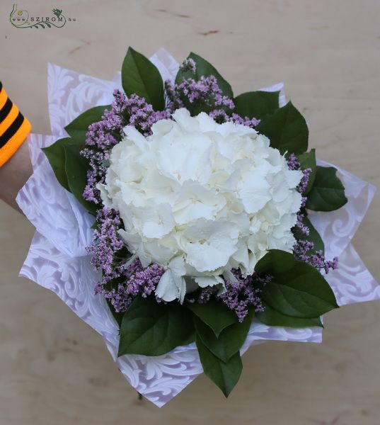 Blumenlieferung nach Budapest - Blumenstrauß mit Hortensie und Limonium