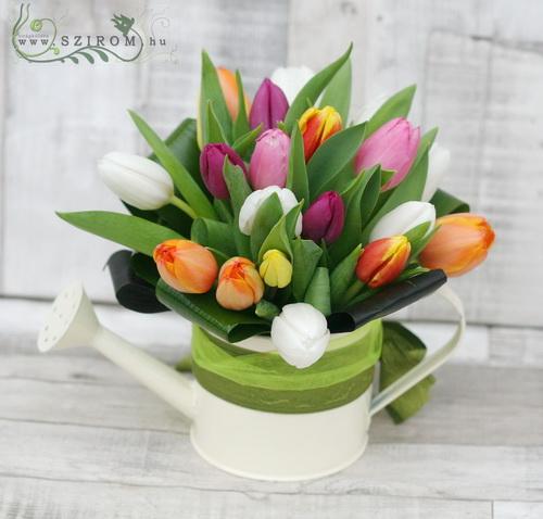 Virágküldés Budapest - egy kannányi tulipán (20 szál)