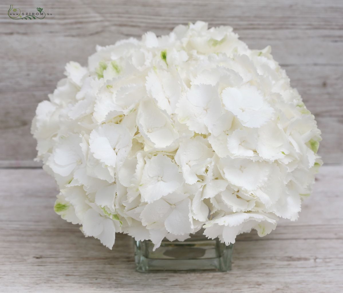 flower delivery Budapest - Wedding centerpiece white hydrangea in glass ball