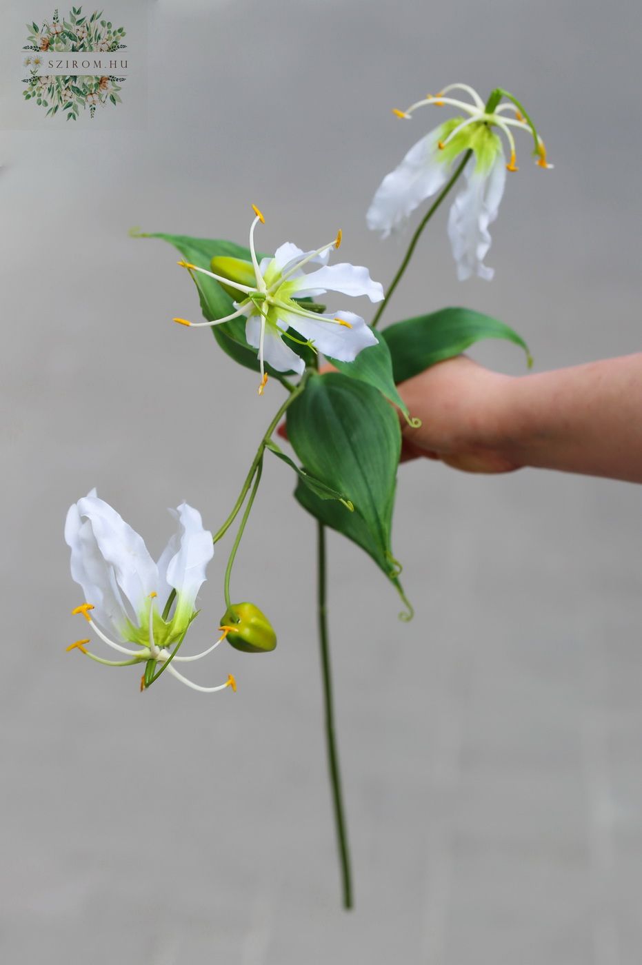Virágküldés Budapest - Gloriosa művirág