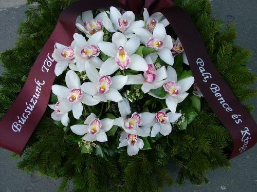 Virágküldés Budapest - kis dombkoszorú orchideával (60cm)