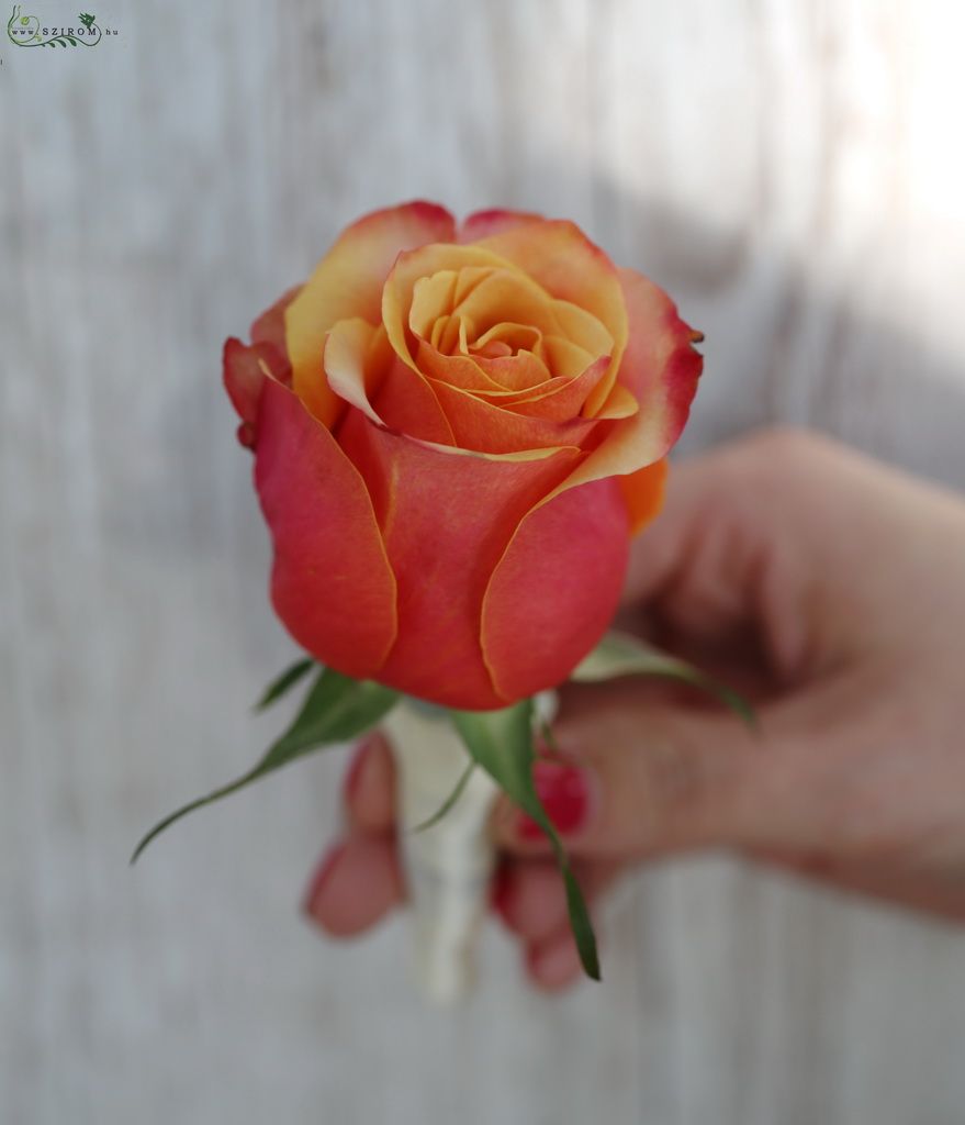 flower delivery Budapest - boutonniere made of orange rose