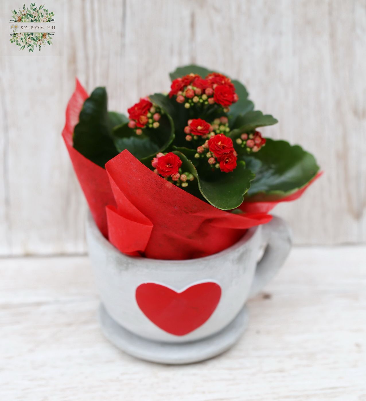 Blumenlieferung nach Budapest - Kalanchor im Herz Tasse
